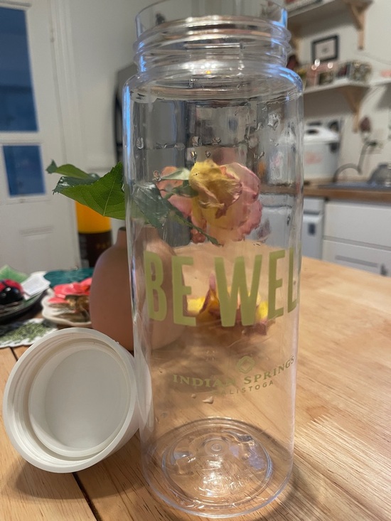 Other - NWOT Indian Springs Water Bottle